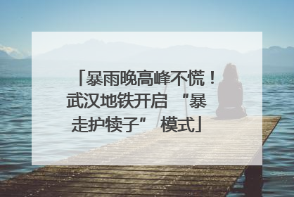 暴雨晚高峰不慌！武汉地铁开启 “暴走护犊子” 模式