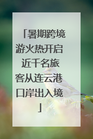 暑期跨境游火热开启 近千名旅客从连云港口岸出入境