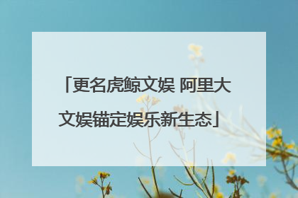 更名虎鲸文娱 阿里大文娱锚定娱乐新生态