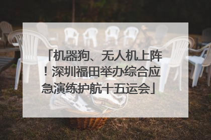 机器狗、无人机上阵！深圳福田举办综合应急演练护航十五运会