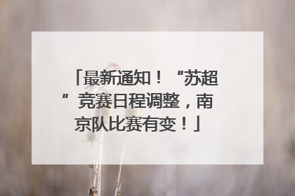 最新通知！“苏超”竞赛日程调整，南京队比赛有变！