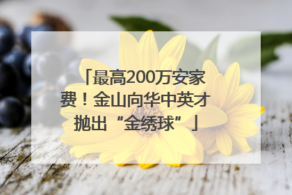 最高200万安家费！金山向华中英才抛出“金绣球”