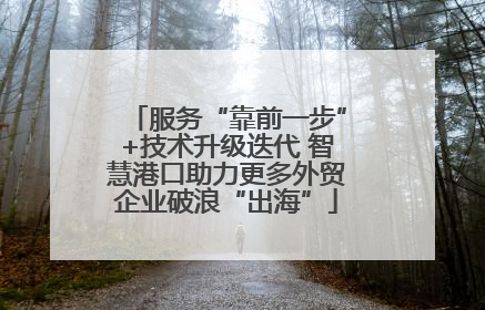 服务“靠前一步”+技术升级迭代 智慧港口助力更多外贸企业破浪“出海”