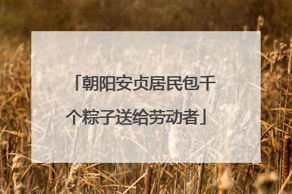朝阳安贞居民包千个粽子送给劳动者