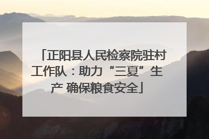 正阳县人民检察院驻村工作队：助力“三夏”生产 确保粮食安全
