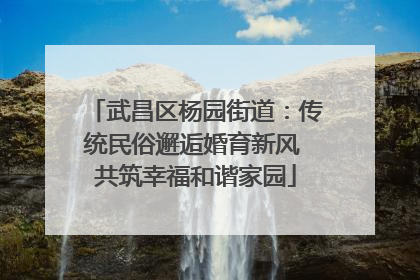 武昌区杨园街道：传统民俗邂逅婚育新风 共筑幸福和谐家园