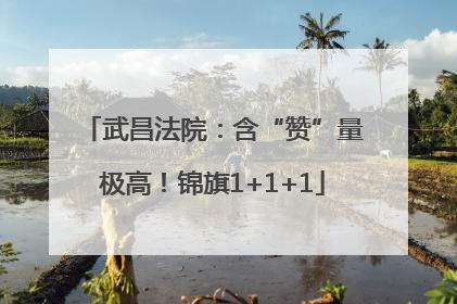 武昌法院：含“赞”量极高！锦旗1+1+1