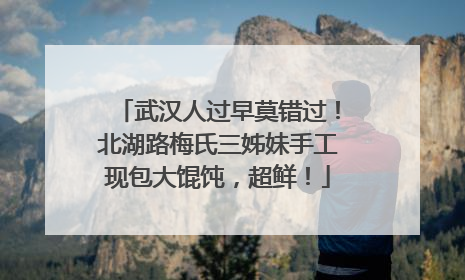 武汉人过早莫错过！北湖路梅氏三姊妹手工现包大馄饨，超鲜！