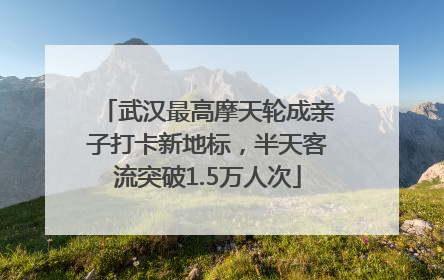 武汉最高摩天轮成亲子打卡新地标，半天客流突破1.5万人次
