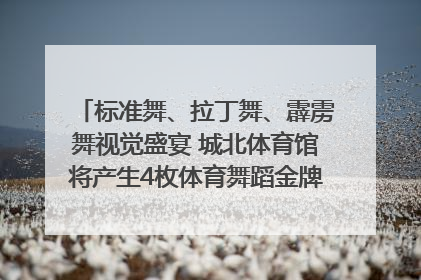 标准舞、拉丁舞、霹雳舞视觉盛宴 城北体育馆将产生4枚体育舞蹈金牌｜世运会探馆行