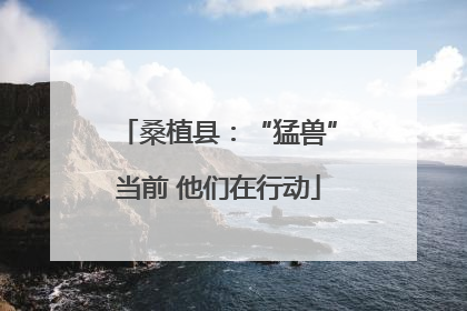 桑植县：“猛兽”当前 他们在行动