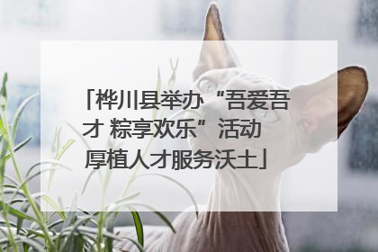 桦川县举办“吾爱吾才 粽享欢乐”活动 厚植人才服务沃土