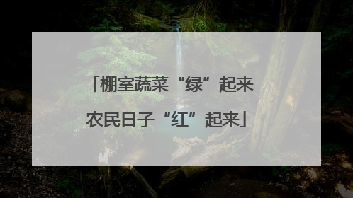 棚室蔬菜“绿”起来 农民日子“红”起来