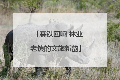 森铁回响 林业老镇的文旅新韵