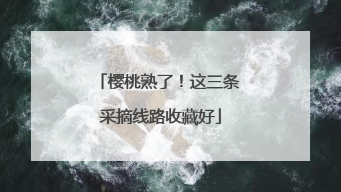 樱桃熟了！这三条采摘线路收藏好