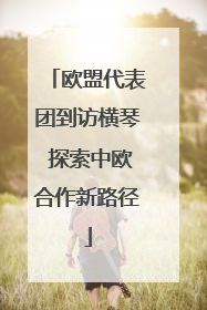 欧盟代表团到访横琴 探索中欧合作新路径