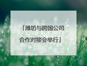 潍坊与跨国公司合作对接会举行