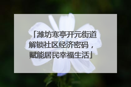 潍坊寒亭开元街道解锁社区经济密码，赋能居民幸福生活