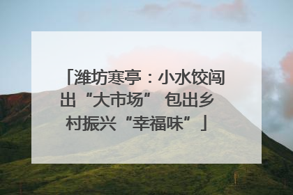 潍坊寒亭：小水饺闯出“大市场” 包出乡村振兴“幸福味”