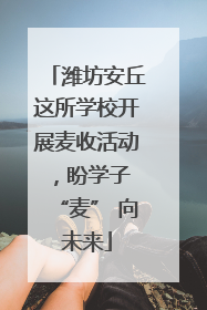 潍坊安丘这所学校开展麦收活动，盼学子 “麦” 向未来