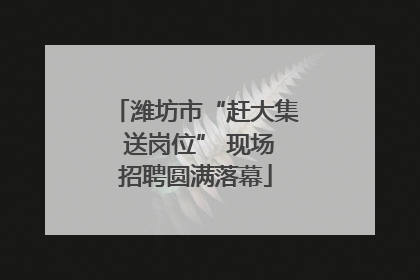 潍坊市“赶大集 送岗位” 现场招聘圆满落幕