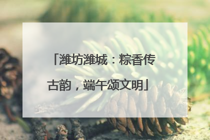 潍坊潍城：粽香传古韵，端午颂文明