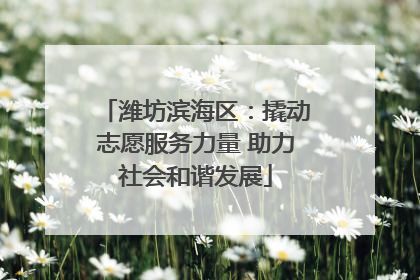 潍坊滨海区：撬动志愿服务力量 助力社会和谐发展