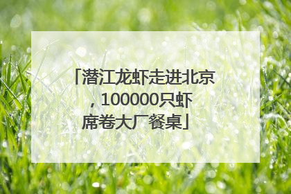潜江龙虾走进北京，100000只虾席卷大厂餐桌
