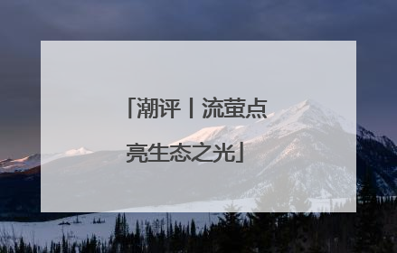 潮评丨流萤点亮生态之光