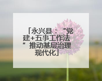 永兴县：“党建+五事工作法”推动基层治理现代化