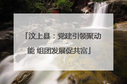 汶上县：党建引领聚动能 组团发展促共富
