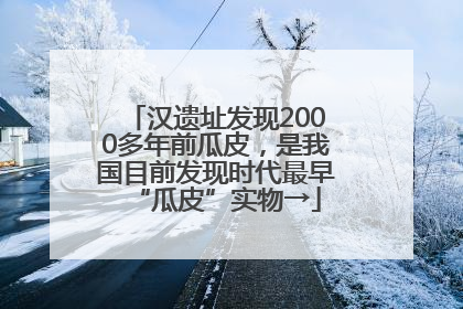 汉遗址发现2000多年前瓜皮，是我国目前发现时代最早“瓜皮”实物→