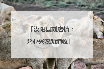 汝阳县刘店镇：薯业兴农助增收
