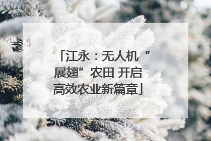 江永：无人机“展翅”农田 开启高效农业新篇章