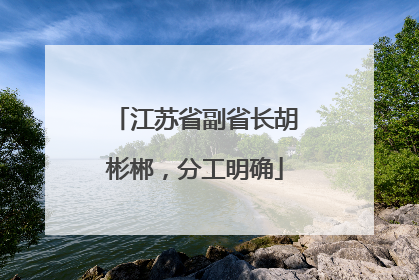 江苏省副省长胡彬郴，分工明确