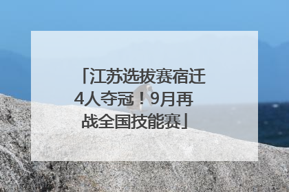 江苏选拔赛宿迁4人夺冠！9月再战全国技能赛