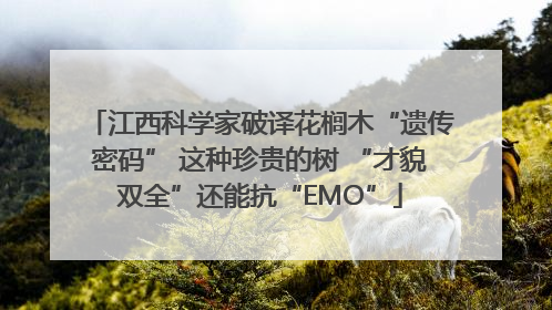 江西科学家破译花榈木“遗传密码” 这种珍贵的树 “才貌双全”还能抗“EMO”