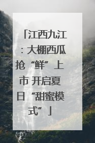 江西九江：大棚西瓜抢“鲜”上市 开启夏日“甜蜜模式”