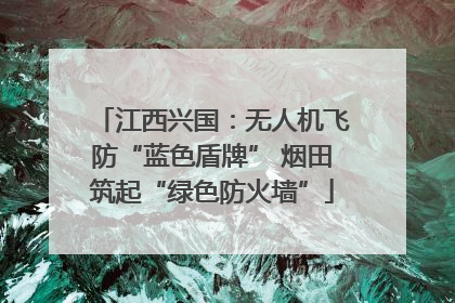 江西兴国：无人机飞防“蓝色盾牌” 烟田筑起“绿色防火墙”