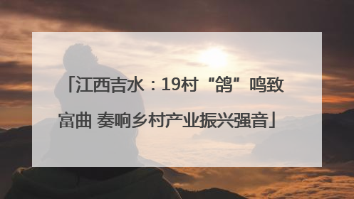 江西吉水：19村“鸽”鸣致富曲 奏响乡村产业振兴强音