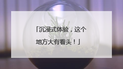 沉浸式体验，这个地方大有看头！