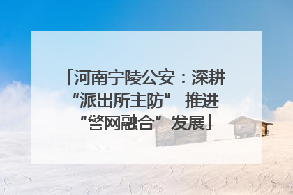 河南宁陵公安：深耕“派出所主防” 推进“警网融合”发展