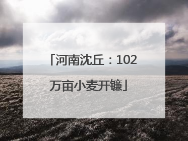 河南沈丘：102 万亩小麦开镰