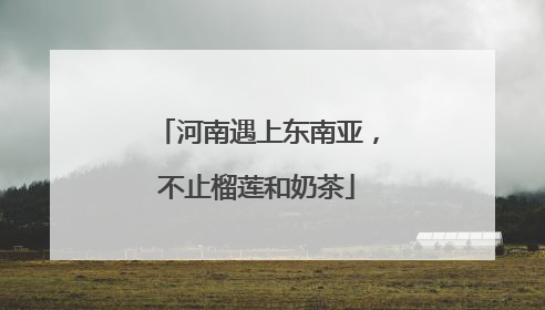 河南遇上东南亚，不止榴莲和奶茶