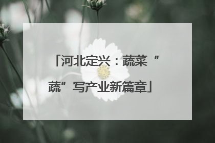 河北定兴：蔬菜“蔬”写产业新篇章