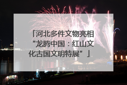 河北多件文物亮相“龙腾中国：红山文化古国文明特展”
