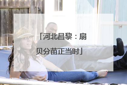 河北昌黎：扇贝分苗正当时