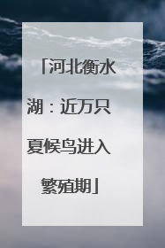 河北衡水湖：近万只夏候鸟进入繁殖期