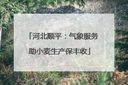 河北顺平：气象服务助小麦生产保丰收