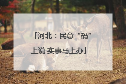 河北：民意“码”上说 实事马上办